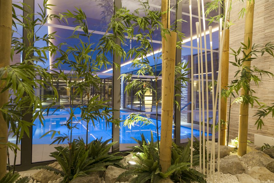 Piscina coperta Hotel Europeo Pinzolo