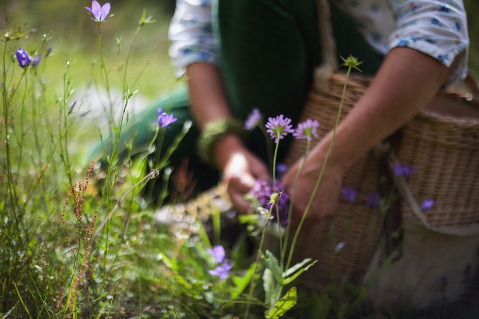 Vacanze nella Natura